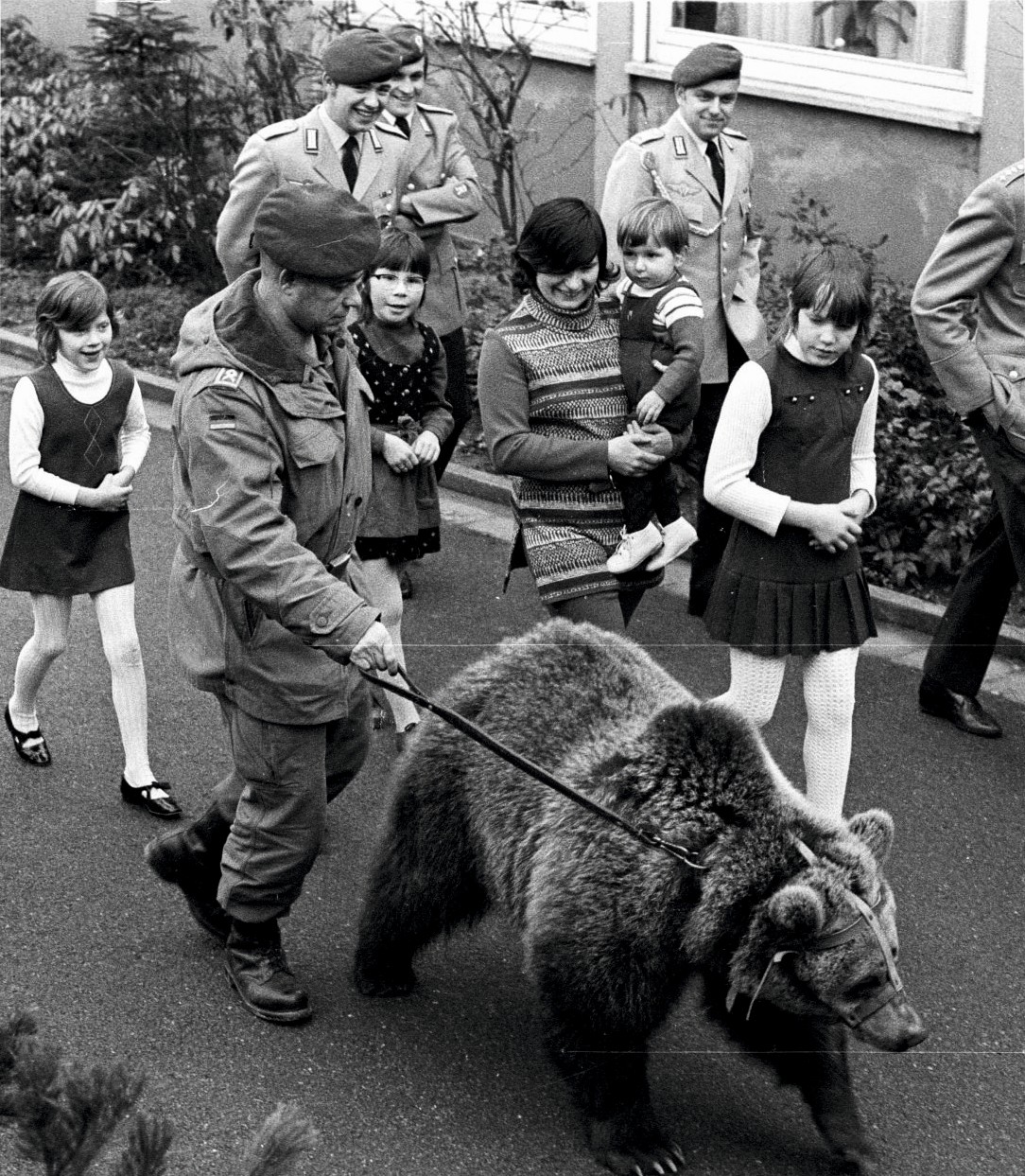 Freund_Bär_Ausschnitt