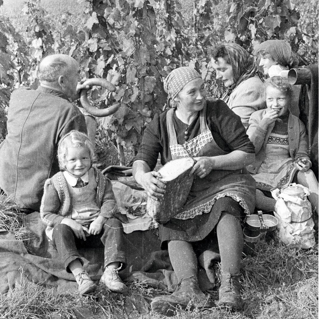 Weinlese_Ausschnitt
