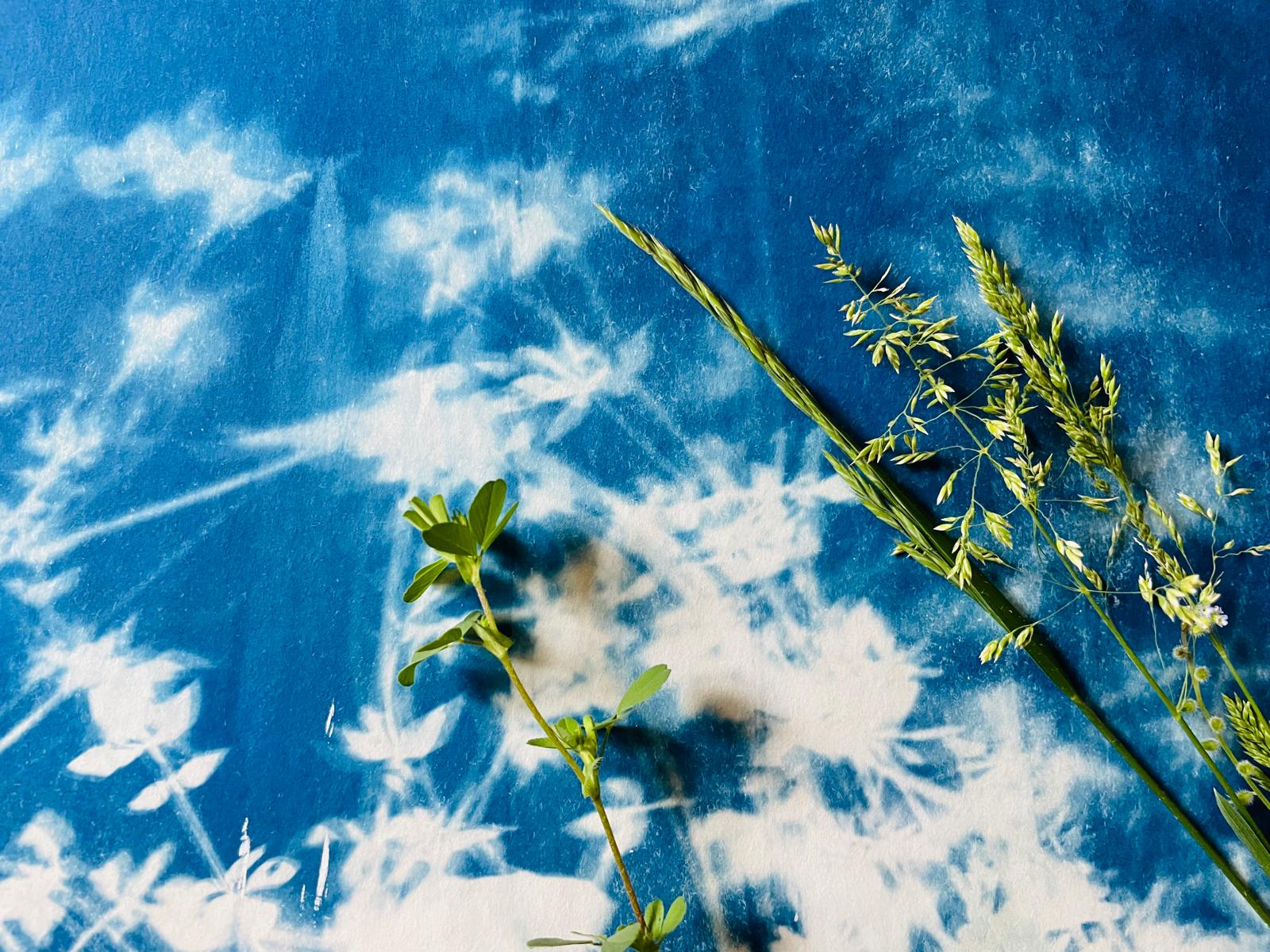 Das blaue Wunder